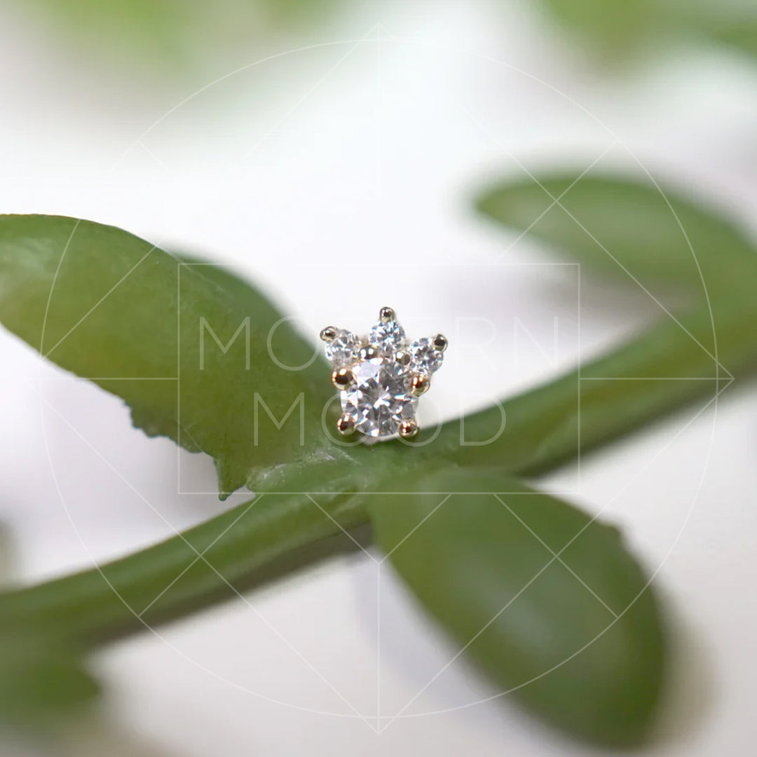 Private Luxury Piercing