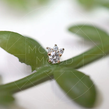 Private Luxury Piercing